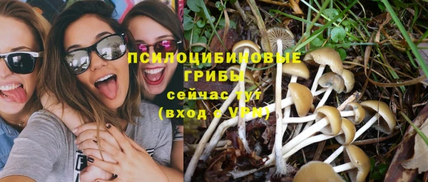 скорость Краснотурьинск
