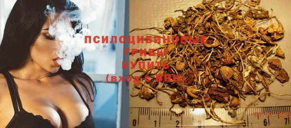 ECSTASY Пересвет