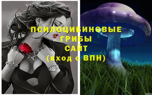 мескалин Переславль-Залесский