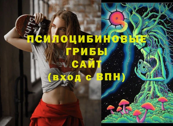 спиды Шали