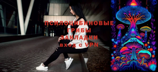 ECSTASY Пересвет