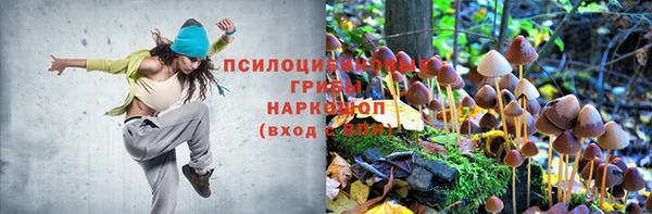 марки nbome Пестово