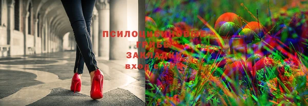 мескалин Переславль-Залесский