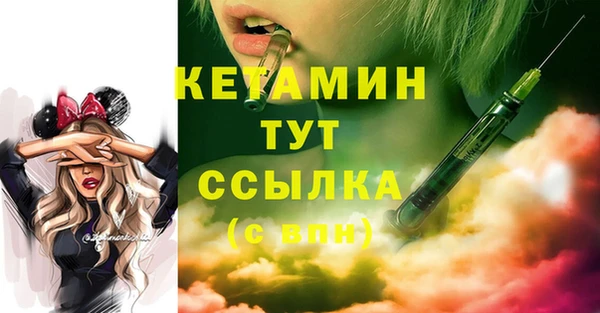 ECSTASY Пересвет
