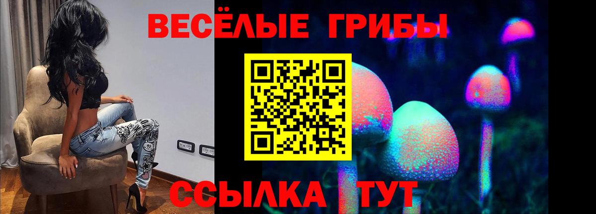 Псилоцибиновые грибы Magic Shrooms Вольск